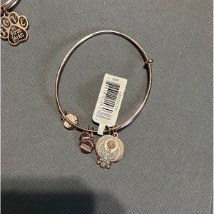 Alex and Ani Bracelet